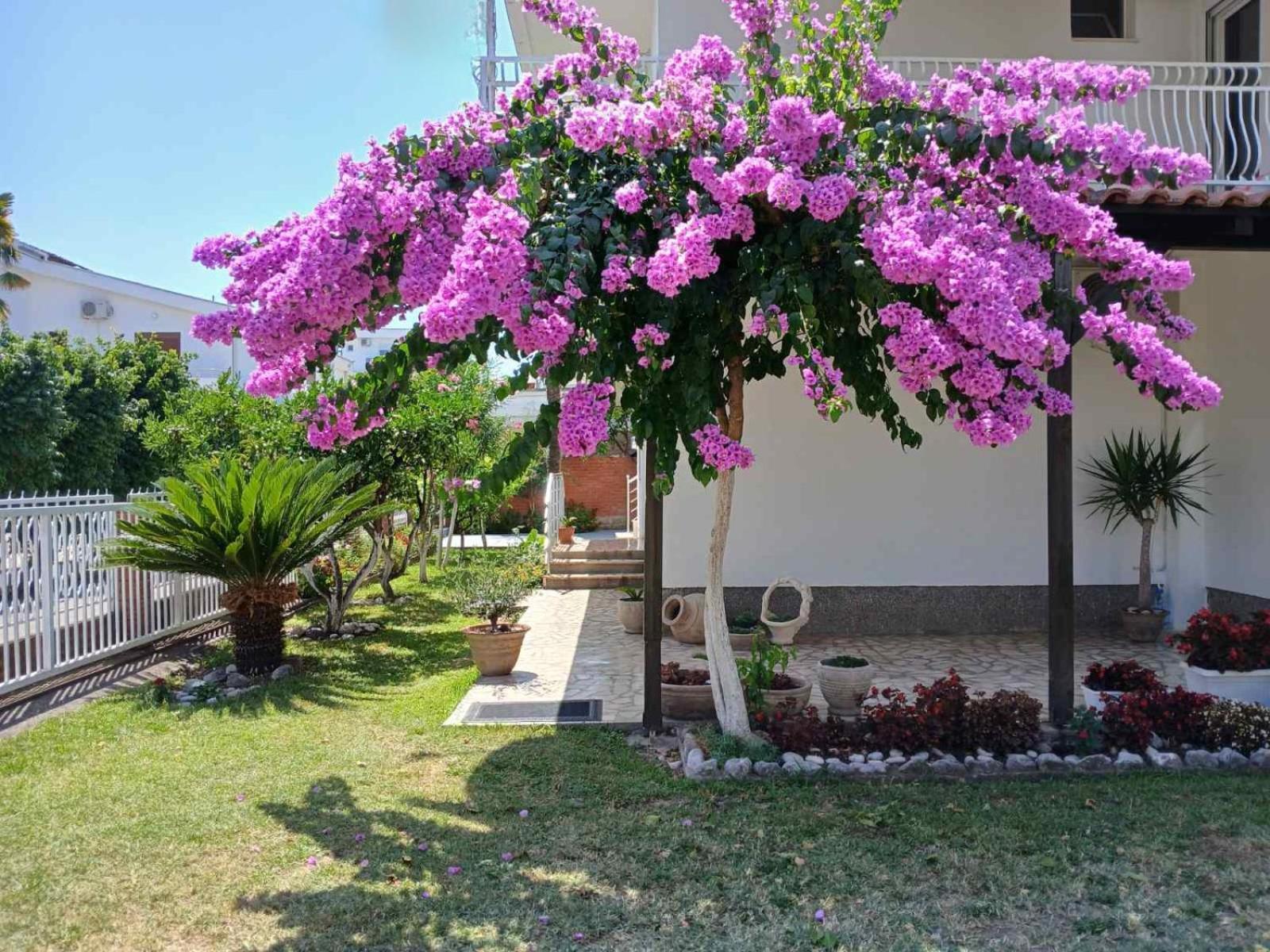 Vila Adriatik Ulcinj Exterior photo