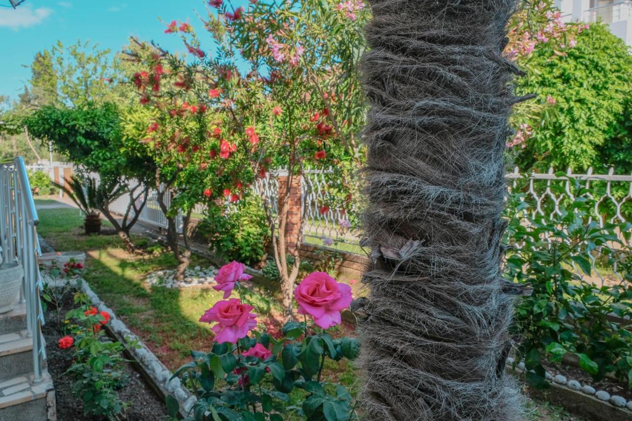 Vila Adriatik Ulcinj Exterior photo